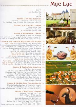 Rượu Vang - Món quà của Thượng Đế